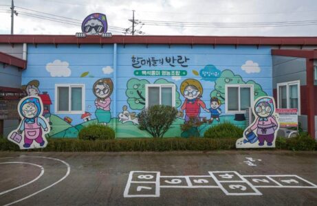 생생정보 미스터리 매실한과