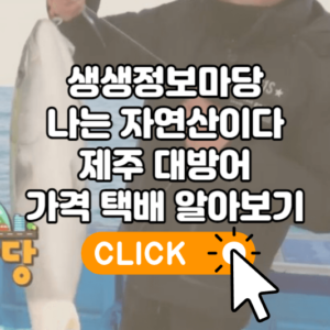 생생정보마당 제주 대방어