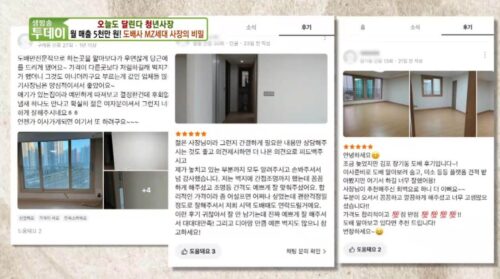 생방송투데이 월매출 5천만원 MZ세대 여성 도배사