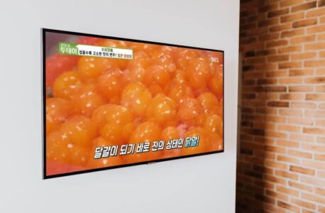 생생정보마당 대박의 기술 닭알탕