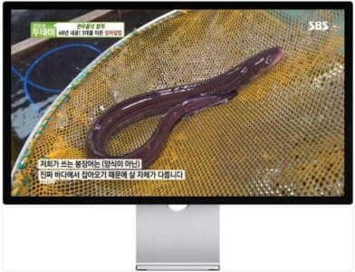 생방송투데이 48년 내공 3대를 이은 장어덮밥