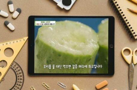 생방송투데이 제철 미니 오이