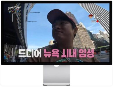 태어난 김에 음악일주