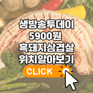 생방송투데이 5900원 흑돼지삼겹살