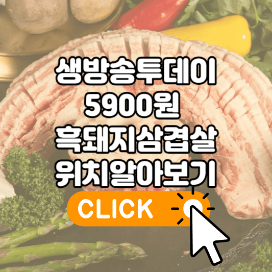 생방송투데이 5900원 흑돼지삼겹살