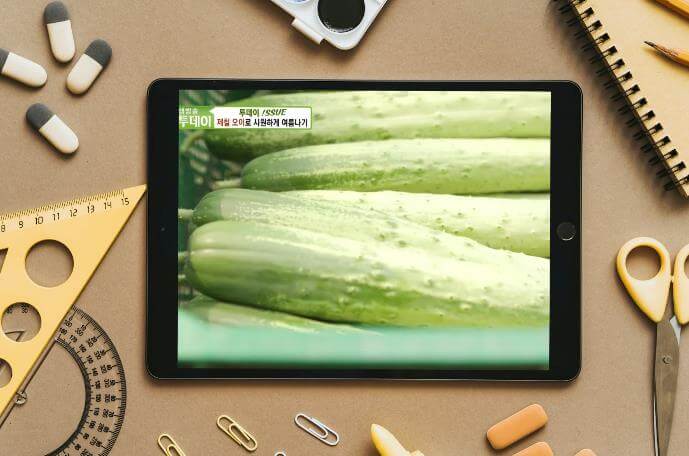 생방송투데이 제철 미니 오이