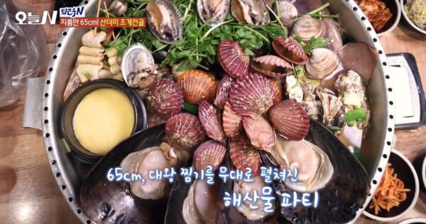 오늘N 지름만 65cm 산더미조개전골