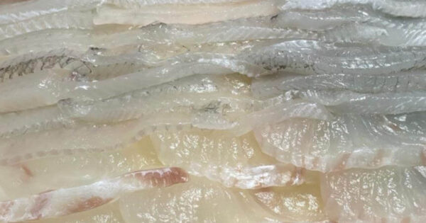 전현무계획2 부산 세로썰기 횟집