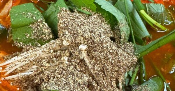 생생정보 장사의 신 순대전골